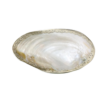 Parelmoer schelp Caiar fruitschaal natuurlijke ruwe schelp voor decoratie, cadeau en sieradenpresentatie, exquisiete handwerk
