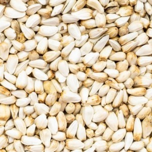 Graines de carthame naturelles, brutes, non-OGM, taille uniforme, nettoyées et triées, pour alimentation des oiseaux, aliments pour animaux, vente en gros, export. - Product Image 2