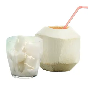 BEST PRICE FRESH YOUNG <b>COCONUT</b> DIAMOND SHAPE FROM VIETNAM - Product Image 1