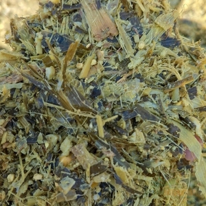 Silage de maïs fermenté de qualité supérieure pour l'alimentation des bovins, silage de maïs jaune pour les exploitations laitières, silage de maïs en vrac pour l'exportation - Product Image 3
