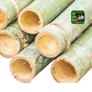 Poteaux en bambou Moso de haute qualité du Vietnam, grands et robustes pour la construction extérieure - Product Image 4