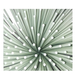 Tige en fibre de verre flexible pour structure de serre - Product Image 2