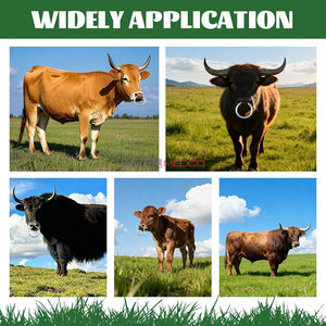 Anillo Nasal de Acero Inoxidable con Bloqueo para Ganaderos y Veterinarios, Herramienta Duradera y Segura para el Manejo de Ganado, Libre de Rebabas, Certificado CE - Product Image 4