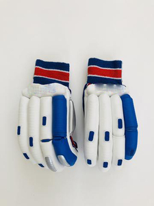 ถุงมือตีคริกเก็ตแบบสั่งทำ LABINO INDUSTRIES ปิดด้วยแถบตีนตุ๊กแก สวมใส่สบาย แห้งเร็ว เป็นมิตรกับสิ่งแวดล้อม น้ำหนักเบา พร้อมโลโก้สั่งทำ - Product Image 1