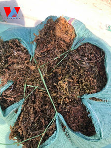 Alga Marina Seca de Sargassum de Vietnam, Nueva Cosecha 2023, Alta Calidad, Baja Humedad, Hojas Grandes y Pequeñas para Ganado y Peces/ Sra. Lima - Product Image 2