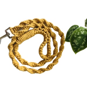 Correa de Cuerda para Perro Hecha a Mano de Algodón de Color, Estilo Moderno y Minimalista, para Paseos Diarios, Accesorios para Mascotas - Product Image 1