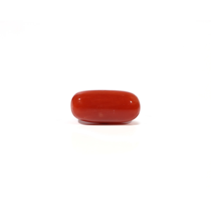 Natural Red Coral Oval Cabochon Loose Gemstone 4.8 Carat Certified Wholesale - Product Image 1