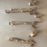 Perchoirs pour oiseaux, support pour chien, jouets en bois de café écologiques, accessoires de cage fabriqués au Vietnam HOANG LINH SG Kimy +84938616690