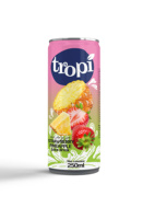 Op maat gemaakte fruitsapcocktail met smaak, NFC 100% kokoswater, geen concentraat, natuurlijke ingrediënten, 250ml/330ml/500ml