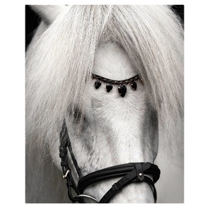 Banda Frontal para Caballo de Cristal Personalizable de Alta Calidad, Cuero Negro Marrón, Estilo Ecuestre Occidental, Cómoda y Elegante para Carreras y Equitación - Product Image 2