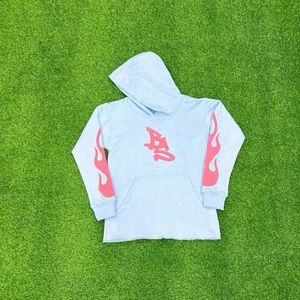 Sweat-shirt à capuche unisexe de haute qualité, impression sérigraphique, 100% coton molletonné 500 GSM, produits les plus vendus - Product Image 2