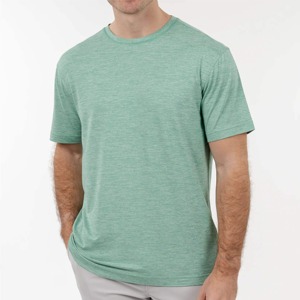 Camiseta de Algodón Verde Menta para Hombre, Corte Regular, Cuello Redondo, Manga Corta, Informal, Color Sólido, Tejido de Punto Jersey, Teñido Liso - Product Image 4