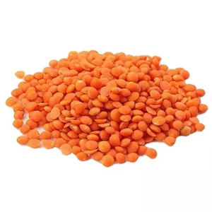 Lentejas Rojas Naturales Secas, Masoor Dal, Legumbres de Alta Calidad, Distribuidor Mayorista, Gran Cantidad - Product Image 3