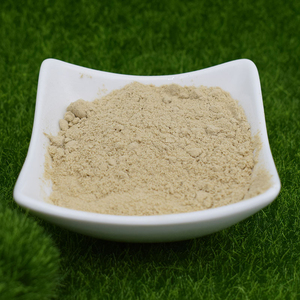 Calcio Ácido de Alta Pureza para Formulaciones Agrícolas, Polvo de Calcio Ácido Premium para Mejora del Suelo - Product Image 3