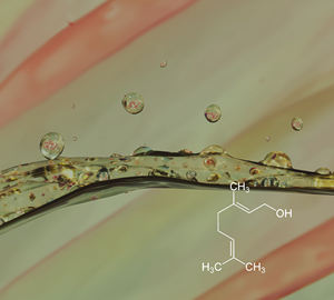Geraniol Natural 85%+ (CT-201) Aroma a Vainilla - Product Image 2