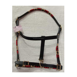 Productos de caballo Halter de cuero de calidad superior para caballos de polo - Product Image 1