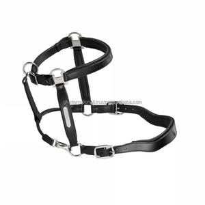 Licol pour cheval en cuir anglais noir confortable et rembourré avec plaque de nom personnalisée sur le mentonnière et quincaillerie argentée - Product Image 2