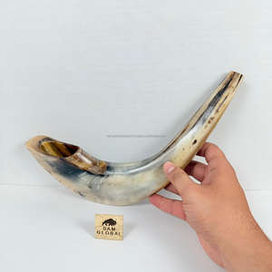 OEM fabricante indio Kosher Shofar hecho Israel Natural Ram Horn Shofar para soplar y fines religiosos pulido Kudu Horn - Product Image 5