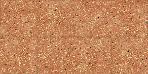Azulejos Premium Choice de Calidad Superior Asia Tiles Elevation de 300x600mm para Paredes, Ideales para la Salud. - Product Image 3