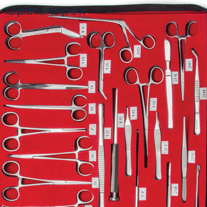 Instrumentos Quirúrgicos Veterinarios de Acero Inoxidable de Alta Calidad, Certificados por la CE, Duraderos para Clínicas y Hospitales Veterinarios - Product Image 5