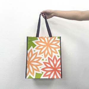 Bolsas de Compra Promocionales Ecológicas Personalizadas Multicolores Plegables de Tela No Tejida, Laminadas en PP, con Asas, al por Mayor - Product Image 5