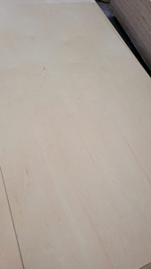 Contreplaqué de bouleau Fomex E0, colle pour meubles, simple face, garantie 1 an, pour hôtel, extérieur - Product Image 4