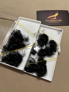 Extensions de cils en éventail 16D faites à la main, logo personnalisé, noir mat, volume facile à former, cils coréens PBT, naturels et doux - Product Image 3