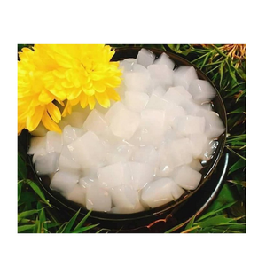 Cubes de nata de coco vietnamienne de haute qualité, taille 8x8 mm, pour la production industrielle de jus et la restauration, 99 Gold Data - Product Image 3