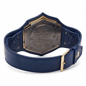 Ceinture de championnat de haute qualité, ceinture de récompense sportive, construction durable, design de trophée haut de gamme pour la lutte, la boxe, OEM - Product Image 6