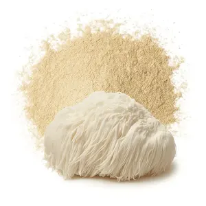 Poudre de champignon Crinière de lion biologique, extrait d'Hericium Erinaceus pour le soutien cognitif, la mémoire et la concentration, superaliment à base de plantes, approvisionnement en vrac - Product Image 1