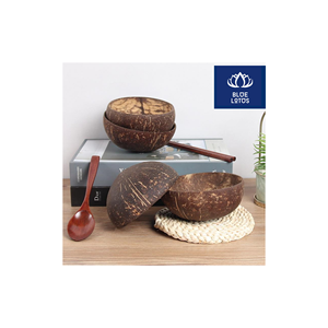Expédition le jour même – Bol en coque de noix de coco écologique, sûr et propre, 100 % végétal, idéal pour les sauces et les plats de fête – Offre spéciale - Product Image 1