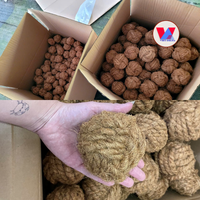 BALLON À MANGER EN FIBRE DE COCO NATURELLE BEN TRE - Sphère en coque de noix de coco pour le nettoyage des dents, le mastication et l'entraînement des animaux de compagnie - NOUVEAUTÉ POPULAIRE