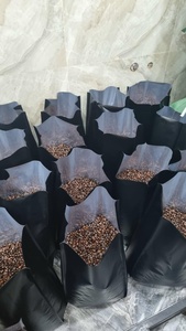 HANCOFFEE Vietnam - Granos de Café Robusta Tostados al Por Mayor - Empaque a Granel de 25 kg - Personalizable - MOQ Bajo - Muestra Gratis - Product Image 4