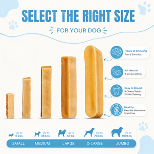 Premium Himalayan Yak Chews for Dogs Extra Hard & Long Lasting Natural Dog Chews OEM ODM Private Label and Custom Packaging - Product Image 6