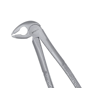 ARISTON INTERNATIONAL Pinzas Dentales Pediátricas Manuales de Acero Inoxidable de Alta Calidad para Extracción de Uso Profesional - Product Image 2