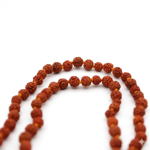 Collier de perles Rudraksha Jaap Mala de haute qualité, originales et naturelles, 108 perles de 6-8 mm, vente en gros - Product Image 2