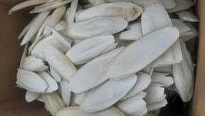 Hueso de Sepia Premium de 4-6 Pulgadas, Empaque en Blíster, 100% Natural, Fuente de Calcio para el Cuidado de Picos de Aves, 21 - Product Image 2