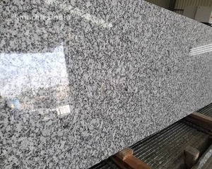 Dalles de granit blanc brillant de qualité supérieure pour comptoirs de cuisine, revêtements de sol, revêtements muraux, salles de bain et design d'intérieur - Product Image 1