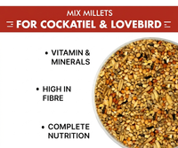Mélange de graines pour oiseaux bio premium pour perroquets, calopsittes, perruches, agapornis, pinsons, canaris - Soutien naturel à la santé digestive