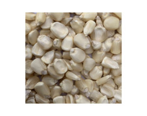 Granos de Maíz Blanco Secos al Aire, Sin OMG, Grado A, Origen Tailandia, 25 kg, Especificación Personalizada, Precio Económico - Product Image 1
