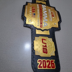Cinturón de Campeonato Personalizado para Taekwondo, Judo, Boxeo, MMA, Jiu-Jitsu y Lucha Libre, 2 cm de Grosor, Forro de Piel Sintética, Fabricante y Proveedor OEM - Product Image 6