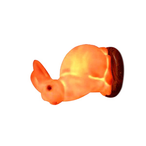 Lámpara de Sal Rosa con Forma de Animal para Decoración de Dormitorios, Fabricante con MOQ Bajo y Tiempo de Producción Rápido - Product Image 5
