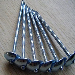 Clous de toiture galvanisés de haute qualité avec rondelles, adaptés à la construction de toitures, disponibles en plusieurs tailles - Product Image 3