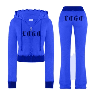 Customizable OEM ODM Hooded Zipper Skinny Fit Vintage 2-Piece Long <b>Set</b> Tracksuit-High Quality Stylish for Team Uniforms Branding - Product Image 1