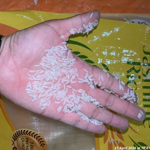 Arroz Blanco Jazmín |   29/5/2026 10:33 AM |   179/26 - Product Image 4