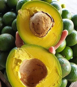 อะโวคาโดแช่แข็ง IQF สดใหม่ เวียดนาม คุณภาพพรีเมียม ขายส่ง - Product Image 2