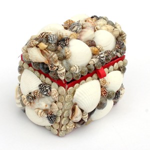 Ocean theme design seashell jewelry box natural sea shell <b>boxes</b> <b>trinket</b> keepsake organization - Product Image 1