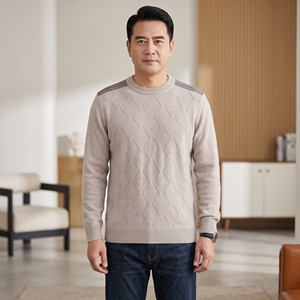 Pull à col rond pour homme, manches longues, couleur unie, laine anti-boulochage, vêtements d'hiver, cardigan tricoté pour homme - Product Image 3