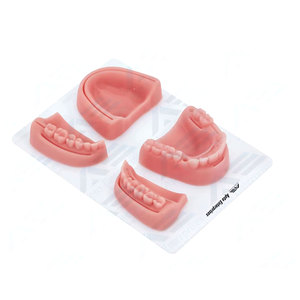 Kit de Entrenamiento Quirúrgico de Acero Inoxidable para Estudiantes de Medicina, Instrumentos Quirúrgicos Dentales al por Mayor, Práctica de Sutura - Product Image 2