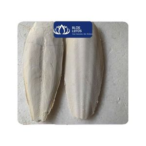 Hueso de Sepia Natural para Aves de Compañía, Loros, Juguete Masticable de Calcio, Suplemento Mineral para el Cuidado del Pico, Golosina para Jaula, Loto Azul Seco - Product Image 1